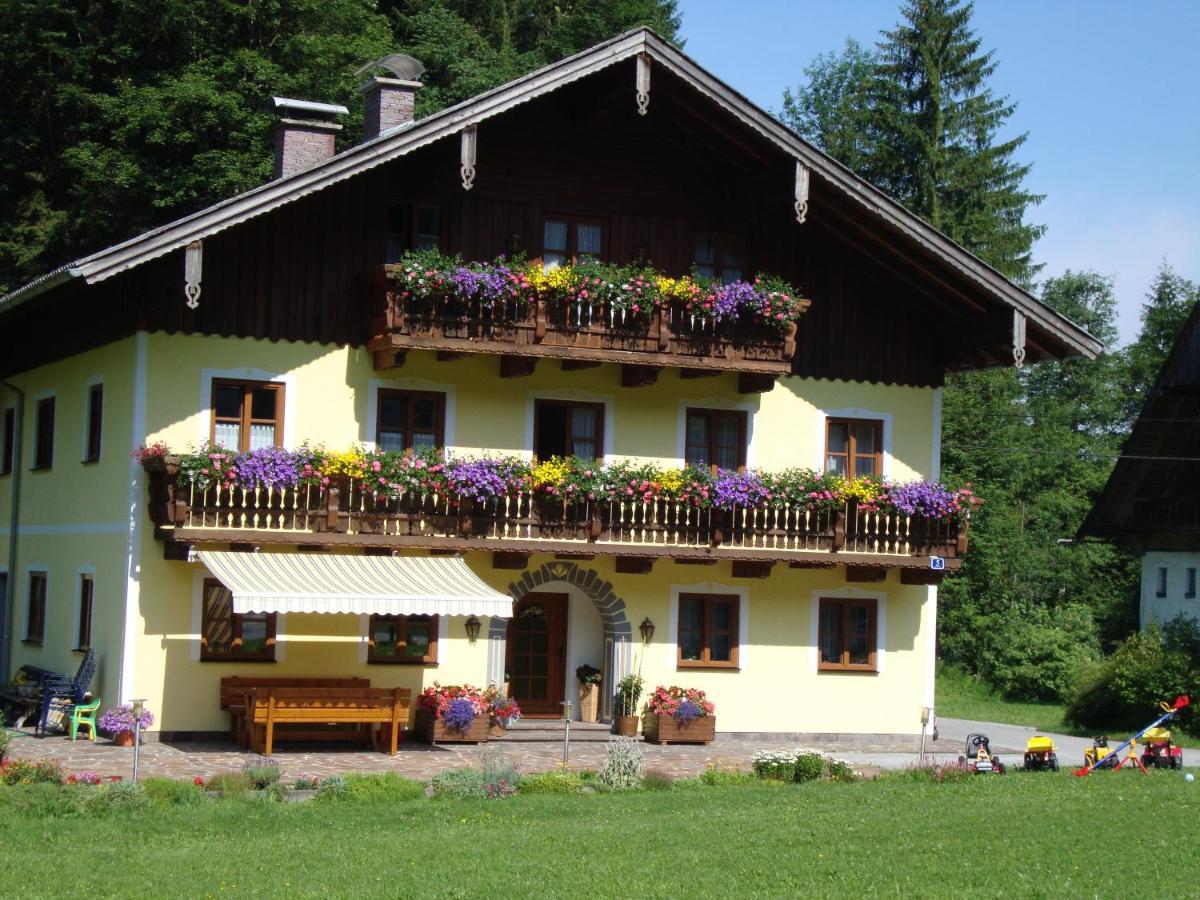 Ferienwohnung Pferdehof Almgut Faistenau Exterior foto